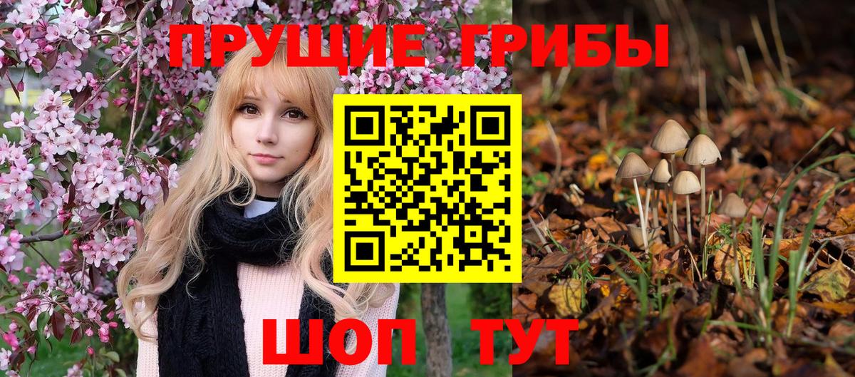 НБОМе  ЭКСТАЗИ  Вход с VPN  Cocaine  ГАШИШ  Тайшет  МАРИХУАНА  A-PVP СК   Мефедрон  