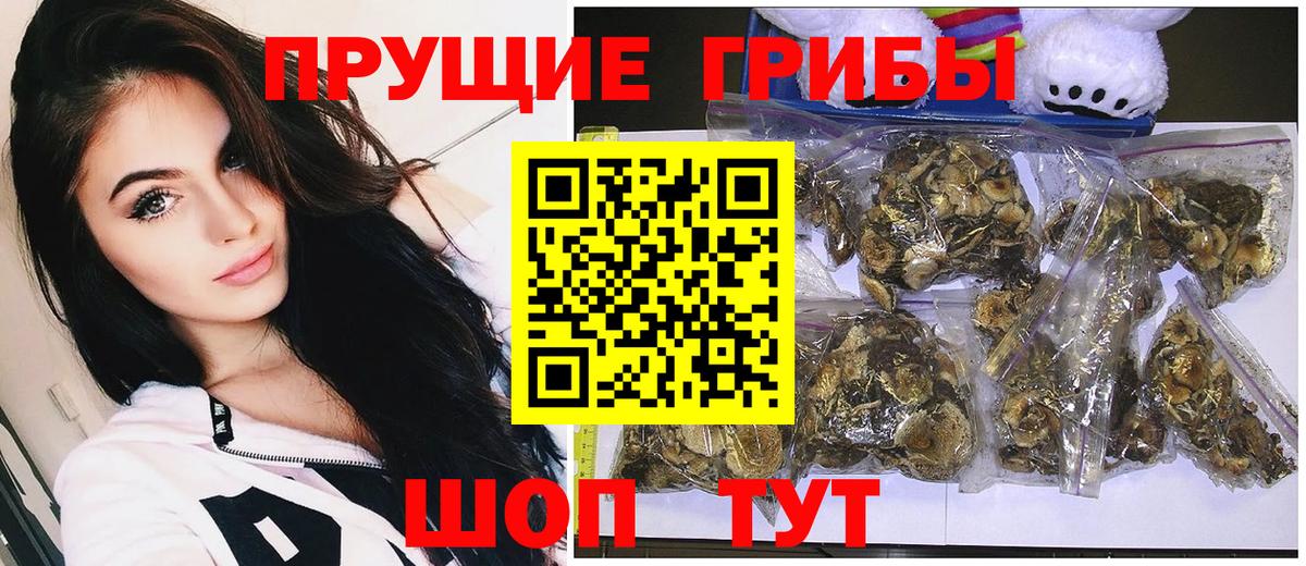 наркошоп  Галлюциногенные грибы GOLDEN TEACHER  Вход с VPN  Тайшет 